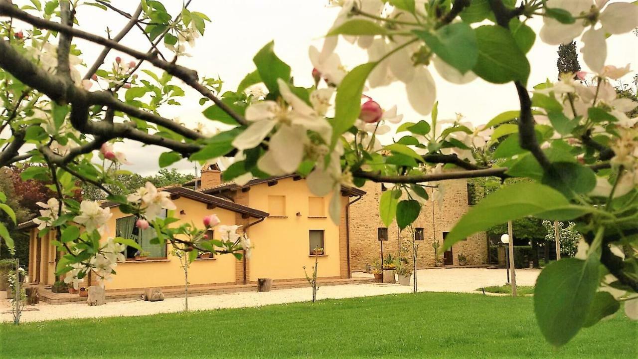 ホテルAgriturismo Il Podere ペトリニャーノ エクステリア 写真