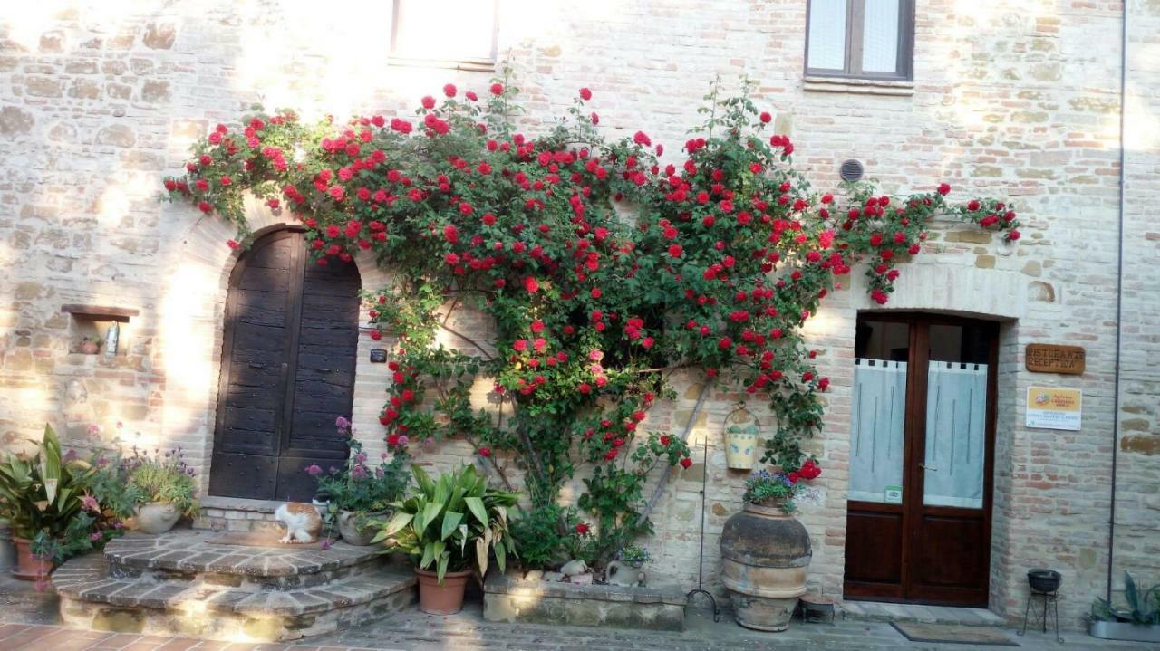 ホテルAgriturismo Il Podere ペトリニャーノ エクステリア 写真